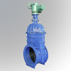 Big-Size-Resilient-Gate-Valve